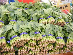 2008/12/27  �{���̔����ł�_3