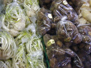 2008/12/27  �{���̔����ł�_5