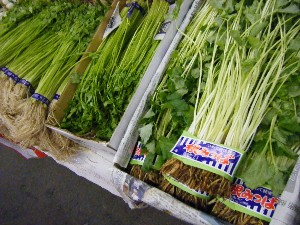 2008/12/27  �{���̔����ł�_6