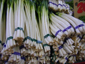 2008/12/27  �{���̔����ł�_7