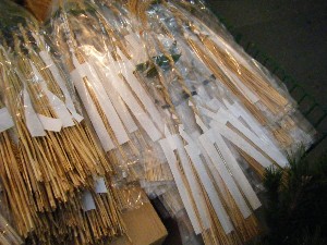 2008/12/27  �{���̔����ł�_10