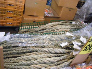2008/12/27  �{���̔����ł�_13