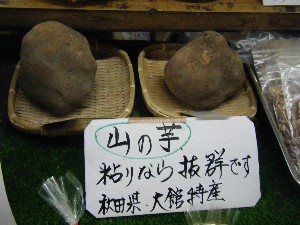 2008/12/27  �{���̔����ł�_16
