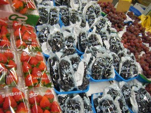2008/12/27  �{���̔����ł�_20