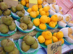 2008/12/27  �{���̔����ł�_24