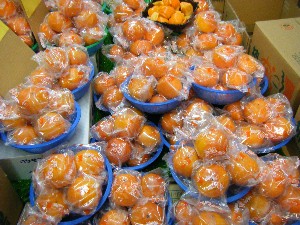 2008/12/27  �{���̔����ł�_25