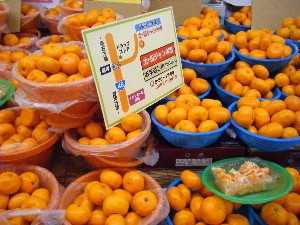 2008/12/27  �{���̔����ł�_26