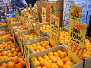 2008/12/27  �{���̔����ł�_27