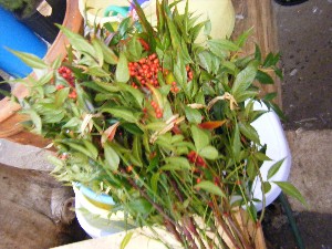 2008/12/27  �{���̔����ł�_35