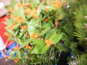 2008/12/27  �{���̔����ł�_37