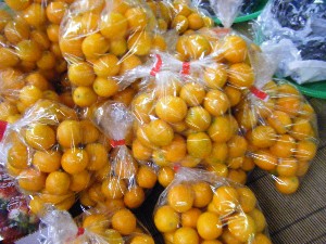 2008/12/27  �{���̔����ł�_44