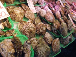 2008/12/27  �{���̔����ł�_46