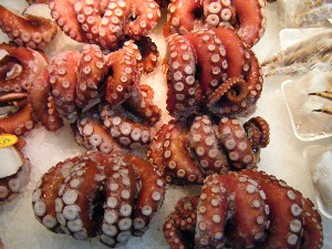 2008/12/27  �{���̔����ł�_50