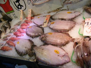 2008/12/27  �{���̔����ł�_51