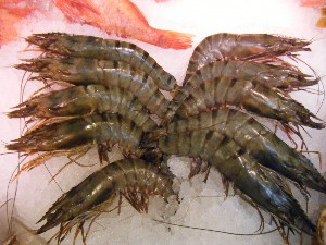 2008/12/27  �{���̔����ł�_53