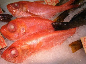 2008/12/27  �{���̔����ł�_54