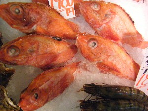 2008/12/27  �{���̔����ł�_55