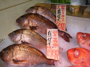 2008/12/27  �{���̔����ł�_57