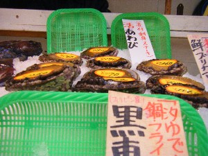 2008/12/27  �{���̔����ł�_58