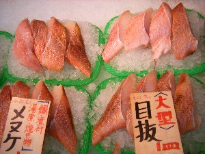 2008/12/27  �{���̔����ł�_59