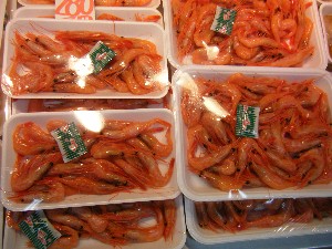 2008/12/27  �{���̔����ł�_63