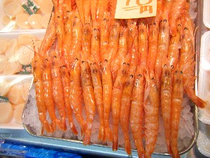 2008/12/27  �{���̔����ł�_64