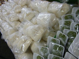 2008/12/27  �{���̔����ł�_77