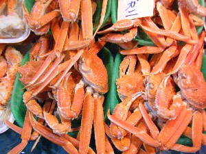 2008/12/27  �{���̔����ł�_84