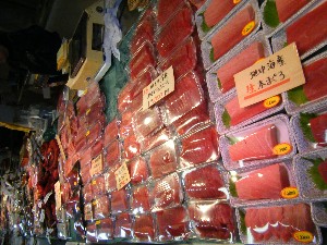2008/12/27  �{���̔����ł�_85