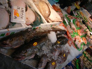 2008/12/27  �{���̔����ł�_86