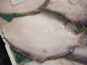 2008/12/27  �{���̔����ł�_87