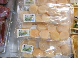 2008/12/27  �{���̔����ł�_94