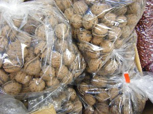 2008/12/27  �{���̔����ł�_101
