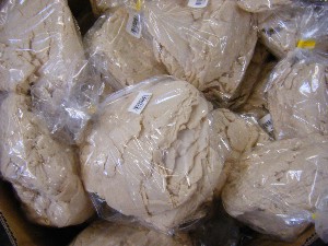2008/12/27  �{���̔����ł�_103