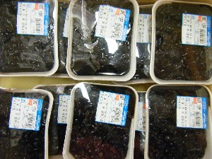 2008/12/27  �{���̔����ł�_1