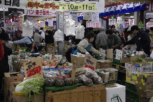 2008-12-30-�����̏�Ԃł�-_1