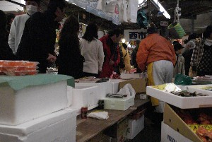 2008-12-30-�����̏�Ԃł�-_17