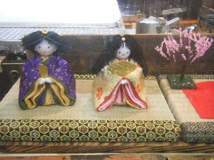 �y���W�����{�s�ЂȃR��2008_5