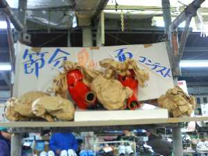 �y���W�����{�s�I�j�R��2008 �����̌C�X����_1