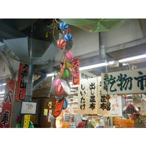 2008�W�����{�I�j�R��_49