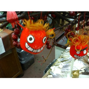 2008�W�����{�I�j�R��_11