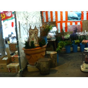 2008�W�����{�I�j�R��_19