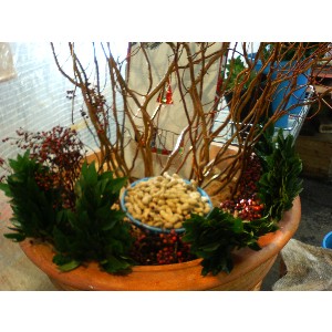 2008�W�����{�I�j�R��_20
