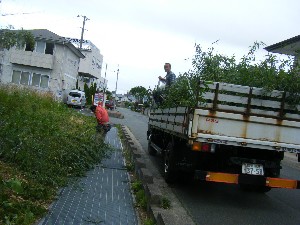 -2008�^�i�R���ʐ^�W-_3