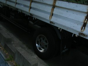 -2008�^�i�R���ʐ^�W-_4