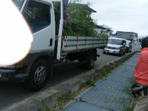 -2008�^�i�R���ʐ^�W-_5