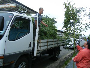 -2008�^�i�R���ʐ^�W-_6