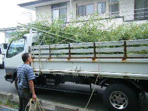 -2008�^�i�R���ʐ^�W-_9