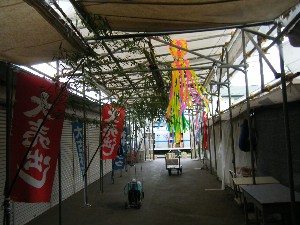 -2008�^�i�R���ʐ^�W-_17