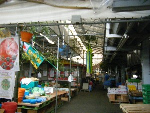 -2008�^�i�R���ʐ^�W-_19